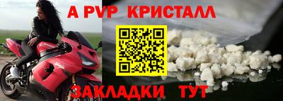 кокс Донской