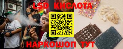 стафф Донецк