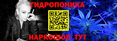 кокс Донской