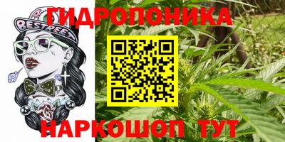 стафф Донецк