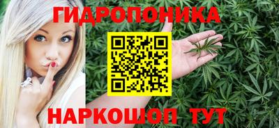 стафф Донецк