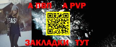 кокс Донской