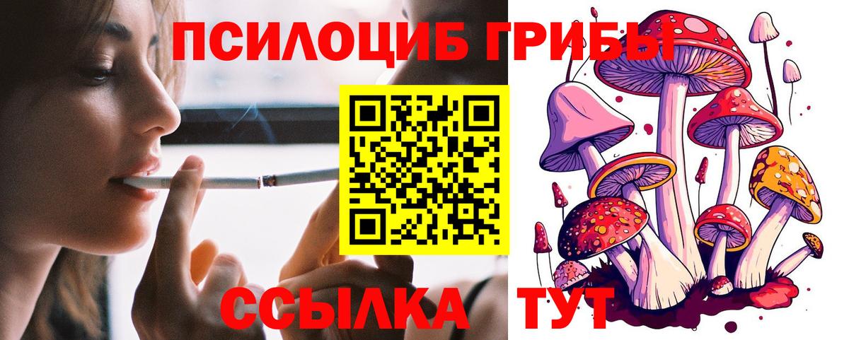 Биробиджан  Псилоцибиновые грибы GOLDEN TEACHER  Псилоцибиновые грибы Magic Shrooms  Вход с VPN 