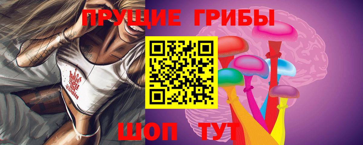Галлюциногенные грибы Psilocybine cubensis Биробиджан